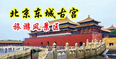 大鸡巴插子宫视频中国北京-东城古宫旅游风景区